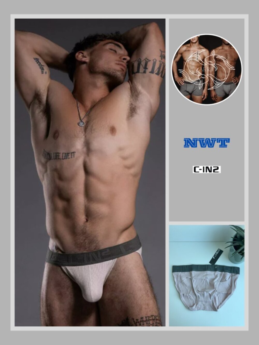 C-IN2 - C-Theory - Dash Brief - Paulo Pink (M)